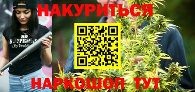 меф Гатчина