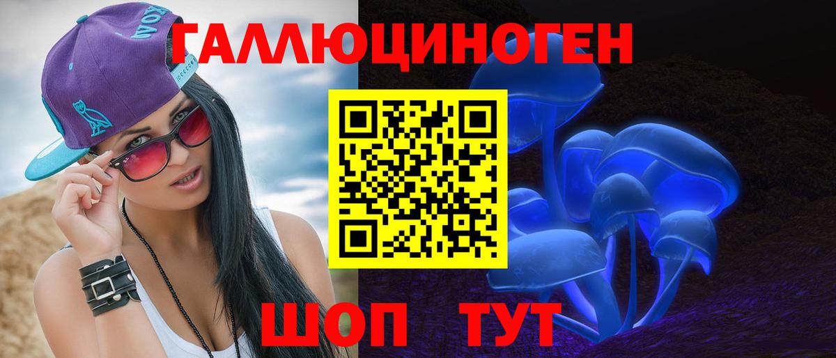 Галлюциногенные грибы Psilocybe Краснодар